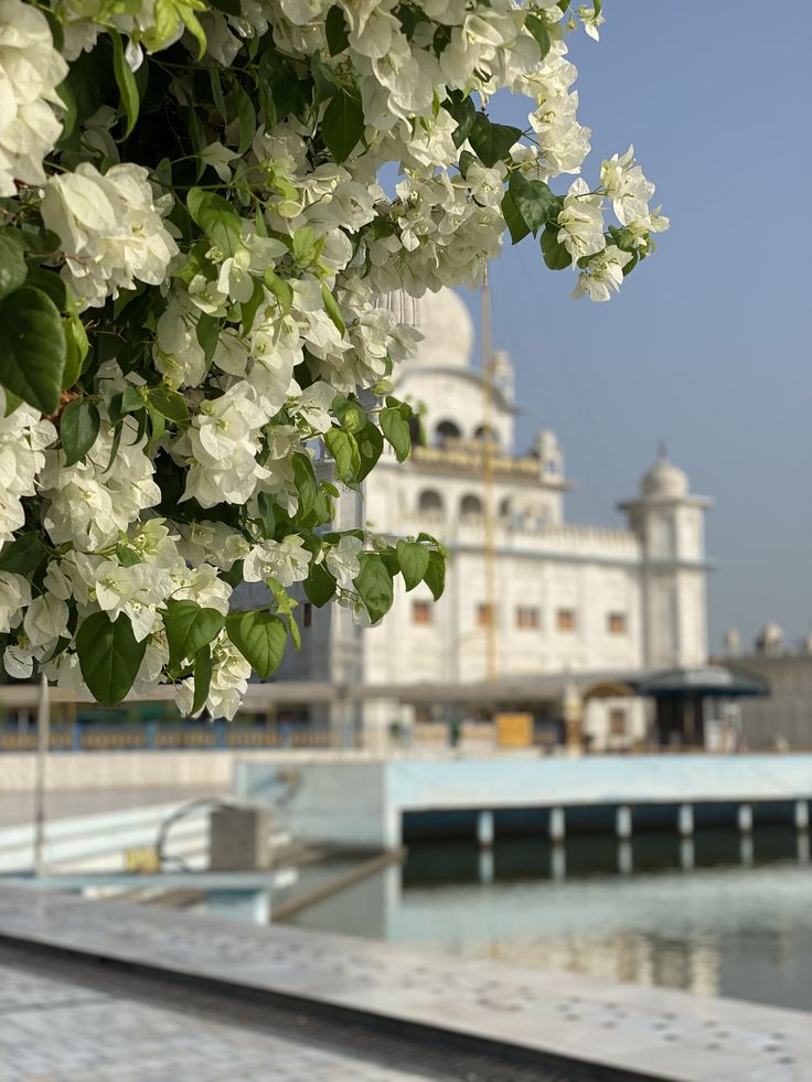 Sri Muktsar Sahib